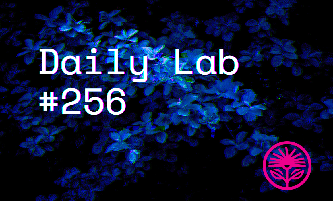 Kelford Labs Daily: Business Camouflage